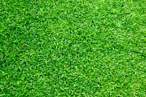 Artificial Turf Palm Beach Gardens, FL