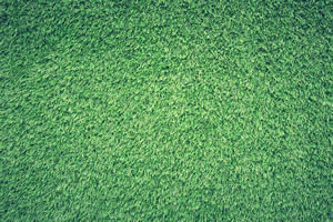 Artificial Turf