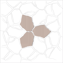 3 Stone Tessellated 